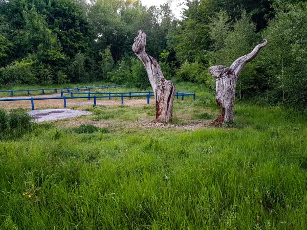 Blackley Forest, Manchester