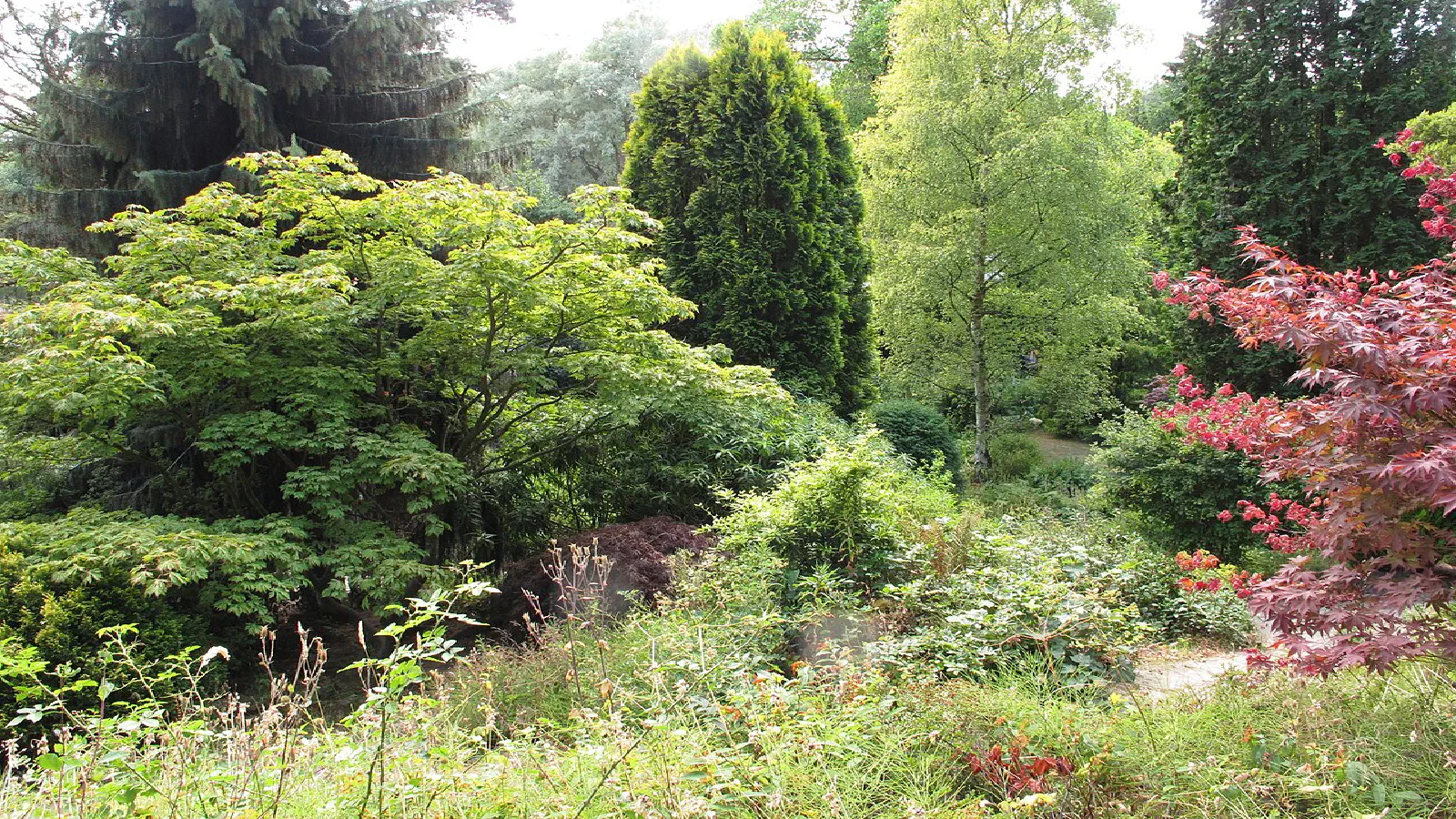 Fletcher Moss Botanical Garden, South Manchester, Manchester