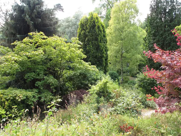 Fletcher Moss Botanical Garden, Manchester