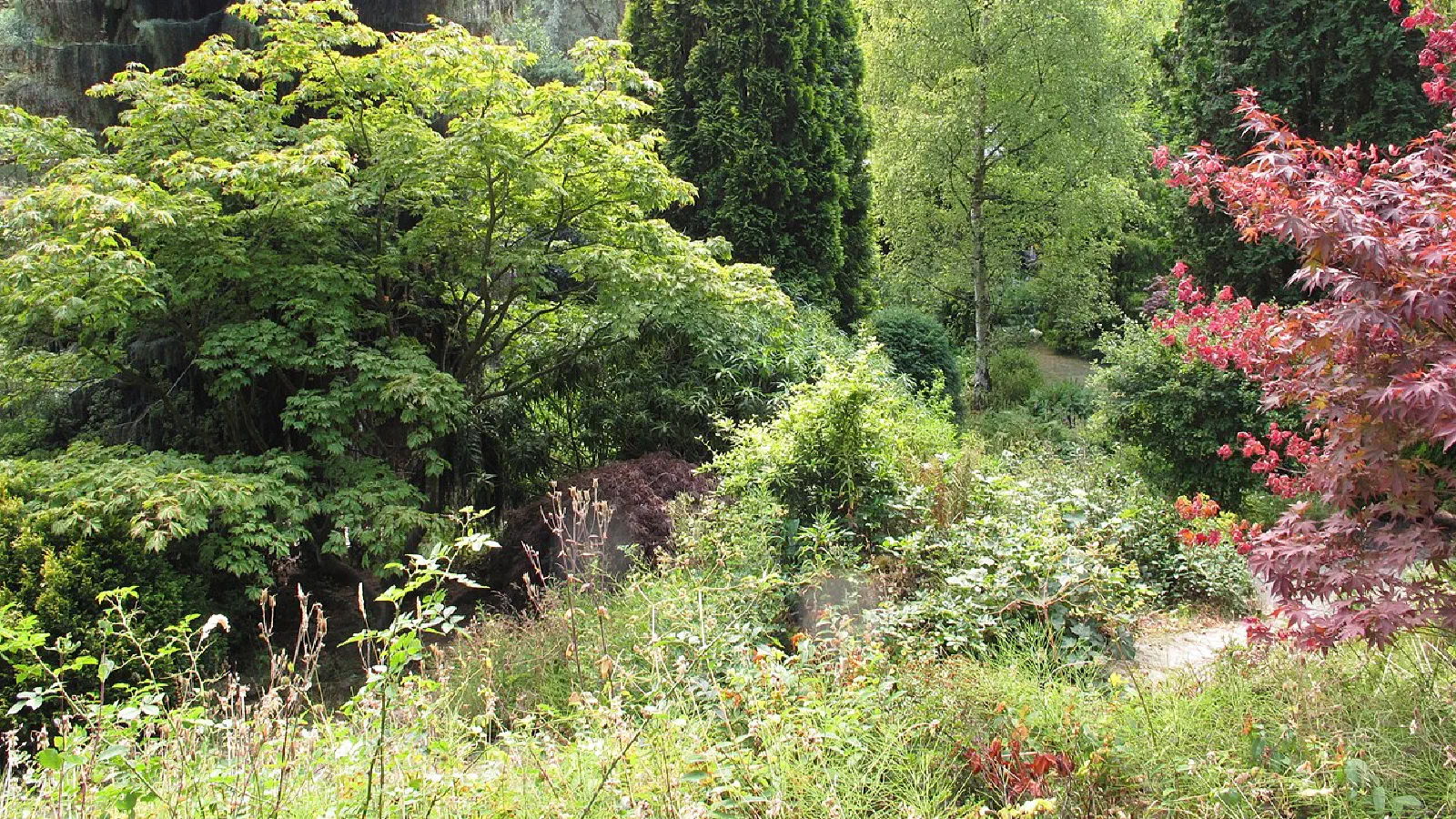 Fletcher Moss Botanical Garden, South Manchester, Manchester